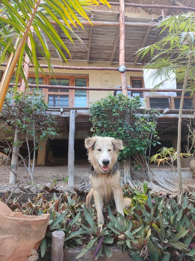 Casa Surf Lodge - Praia do Tofo מראה חיצוני תמונה